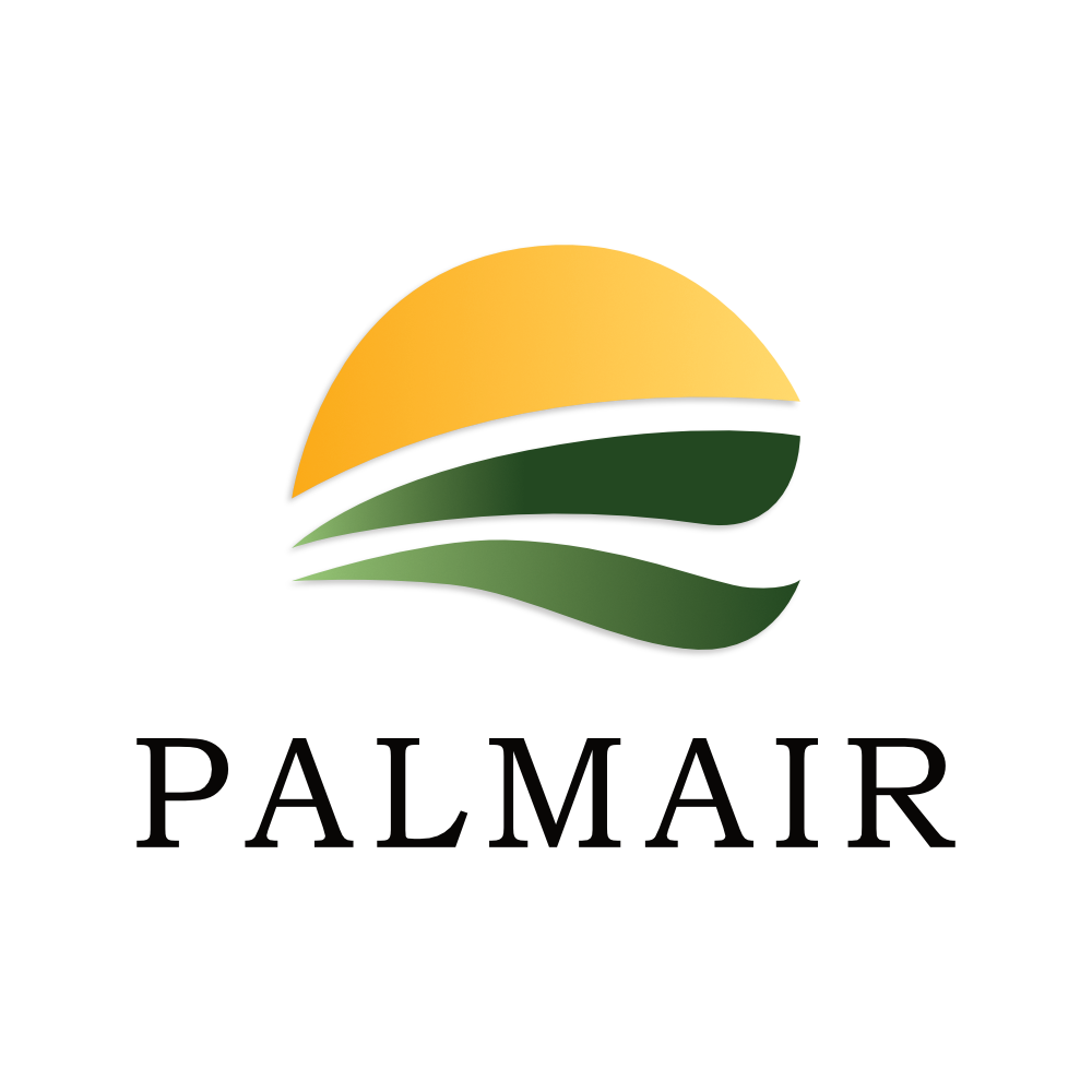PalmAir branding